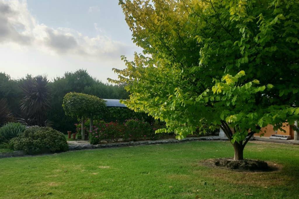 Bella Mia Tuscan Paradise Mount Gambier Dış mekan fotoğraf