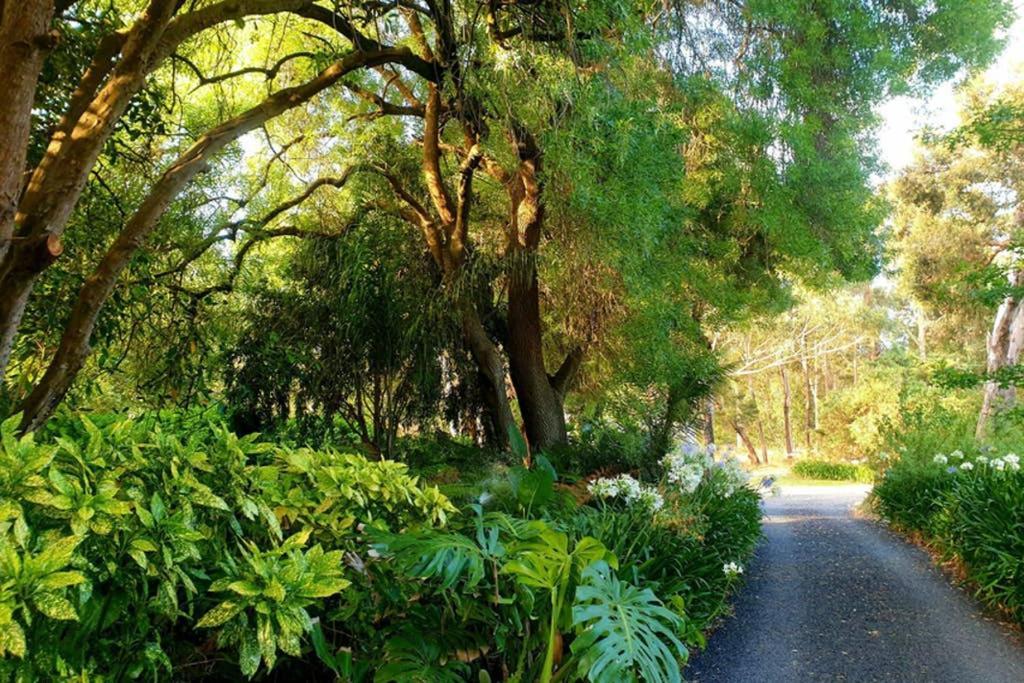 Bella Mia Tuscan Paradise Mount Gambier Dış mekan fotoğraf
